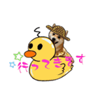 はらぺこ犬チミー（個別スタンプ：5）