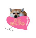 はらぺこ犬チミー（個別スタンプ：6）