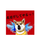 はらぺこ犬チミー（個別スタンプ：7）