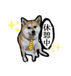 はらぺこ犬チミー（個別スタンプ：9）