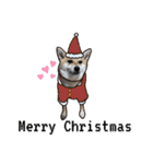 はらぺこ犬チミー（個別スタンプ：19）