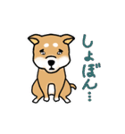 おちゃめなしば犬（個別スタンプ：32）