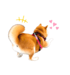 ミルミル2（個別スタンプ：5）