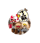4兄弟とお友だちのほのぼのスタンプ（個別スタンプ：5）