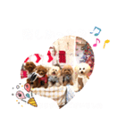 4兄弟とお友だちのほのぼのスタンプ（個別スタンプ：7）