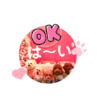 4兄弟とお友だちのほのぼのスタンプ（個別スタンプ：9）