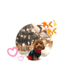 4兄弟とお友だちのほのぼのスタンプ（個別スタンプ：13）