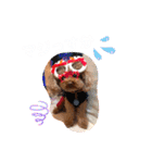 4兄弟とお友だちのほのぼのスタンプ（個別スタンプ：17）