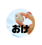 ふざけすぎたけど使える可愛いスタンプ（個別スタンプ：18）