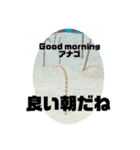 ふざけすぎたけど使える可愛いスタンプ（個別スタンプ：30）