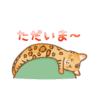 ねこや の年中使えるスタンプ（個別スタンプ：18）