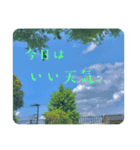 おもいでの写真。（個別スタンプ：4）