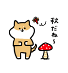 年中使える_脱力柴犬さん（個別スタンプ：35）