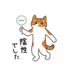 40匹のねこの、Withコロナな日常！（個別スタンプ：7）