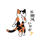 40匹のねこの、Withコロナな日常！（個別スタンプ：22）