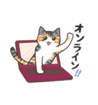 40匹のねこの、Withコロナな日常！（個別スタンプ：33）