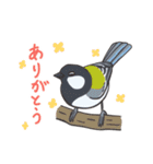 身近な野鳥と動物（個別スタンプ：5）