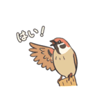 身近な野鳥と動物（個別スタンプ：7）