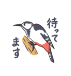 身近な野鳥と動物（個別スタンプ：15）