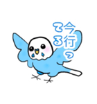 インコのパピーくん★（個別スタンプ：16）