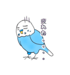 インコのパピーくん★（個別スタンプ：17）