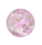癒しのおはなたち（個別スタンプ：4）