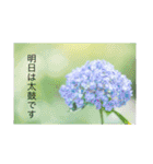 癒しのおはなたち（個別スタンプ：8）
