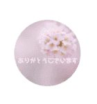 癒しのおはなたち（個別スタンプ：11）