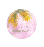 癒しのおはなたち（個別スタンプ：12）