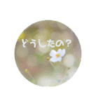 癒しのおはなたち（個別スタンプ：15）