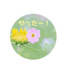癒しのおはなたち（個別スタンプ：17）