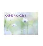 癒しのおはなたち（個別スタンプ：18）