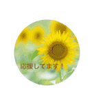 癒しのおはなたち（個別スタンプ：20）