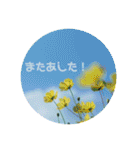 癒しのおはなたち（個別スタンプ：24）