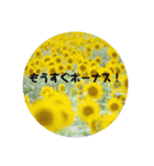 癒しのおはなたち（個別スタンプ：27）