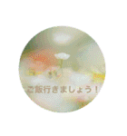 癒しのおはなたち（個別スタンプ：31）