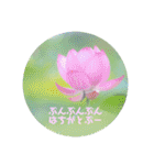 癒しのおはなたち（個別スタンプ：32）
