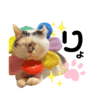 あんこのこ日常会話ver.④（個別スタンプ：5）