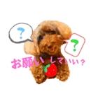 Pichan12（個別スタンプ：14）