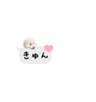 ビションフリーゼもこぴ（個別スタンプ：18）