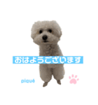 ピケその9（個別スタンプ：3）