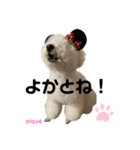 ピケその9（個別スタンプ：6）