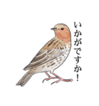 日本の野鳥7（個別スタンプ：11）