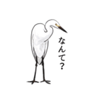 日本の野鳥7（個別スタンプ：24）