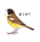 日本の野鳥7（個別スタンプ：27）