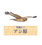 日本の野鳥7（個別スタンプ：38）