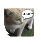 のりお＆あさり（個別スタンプ：1）