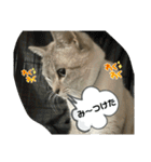 のりお＆あさり（個別スタンプ：6）