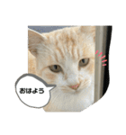 のりお＆あさり（個別スタンプ：8）