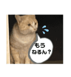 のりお＆あさり（個別スタンプ：9）